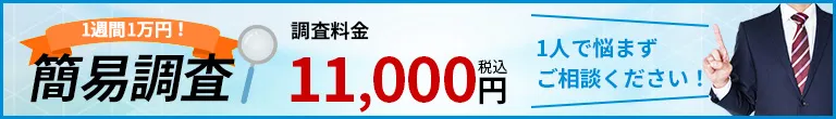 1週間1万円の簡易調査